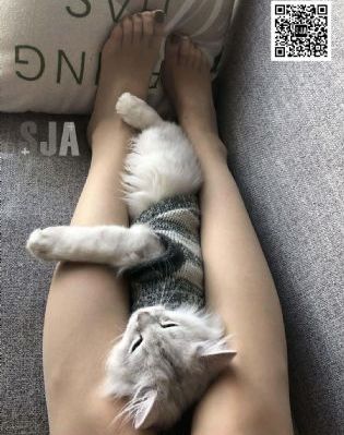 私人电影院免费看电影