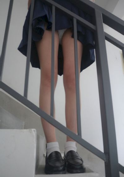 迷失羔羊