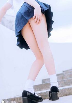 细狗网页端登录入口免费版