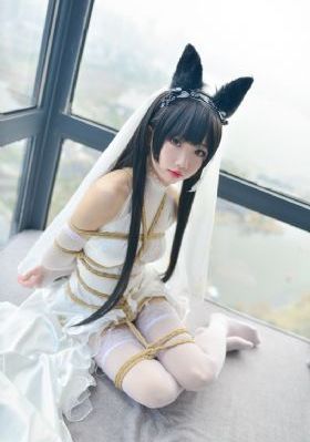 草莓视频网