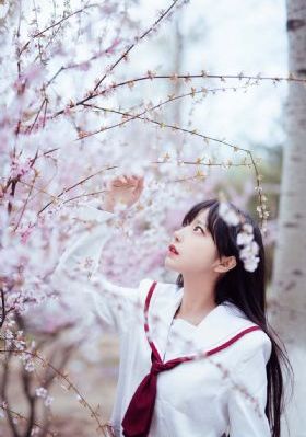 侯门一入深似海